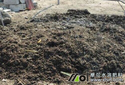 種植紅薯用底肥 種植紅薯用底肥