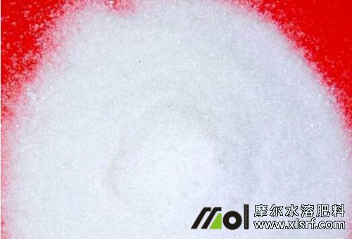 盆栽用肥 盆栽用肥