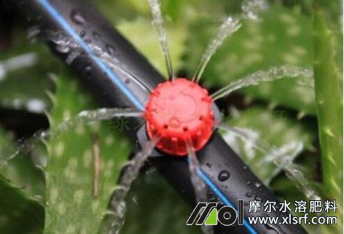 水溶肥和復(fù)合肥能否混用 水溶肥和復(fù)合肥能否混用