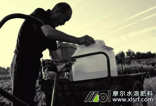 水溶肥使用注意 水溶肥使用注意