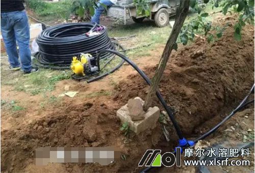 水溶肥滴灌注意 水溶肥滴灌注意