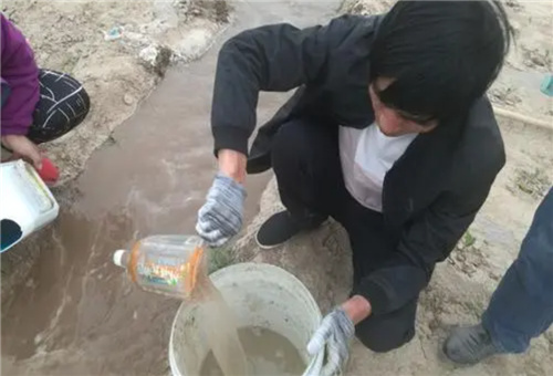 水溶肥料用法 水溶肥料用法