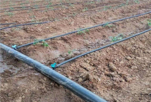 水溶肥使用 水溶肥使用