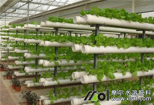 無土栽培 無土栽培