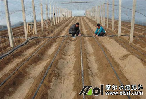 水溶肥追肥間隔 水溶肥追肥間隔