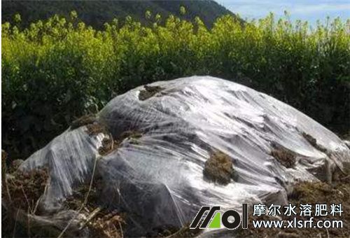 水溶肥使用前提 水溶肥使用前提