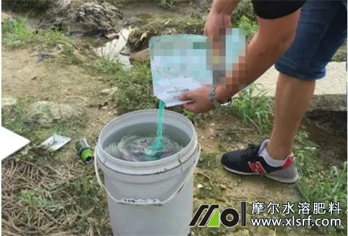 水溶肥用量及比例 水溶肥用量及比例