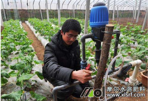 水溶肥使用細(xì)節(jié)注意 水溶肥使用細(xì)節(jié)注意