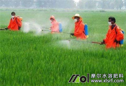 水溶肥使用注意 水溶肥使用注意