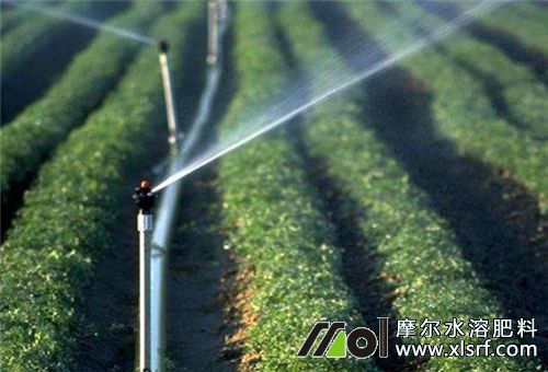 水溶肥噴灌 水溶肥噴灌