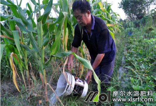 作物澆水 作物澆水