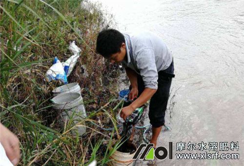 水溶肥稀釋 水溶肥稀釋
