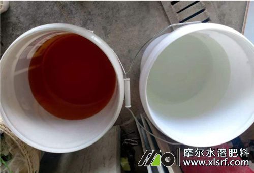 水溶性肥稀釋 水溶性肥稀釋