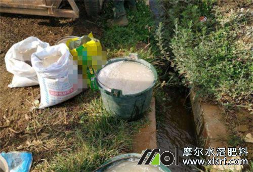 水溶性肥選擇方法 水溶性肥選擇方法