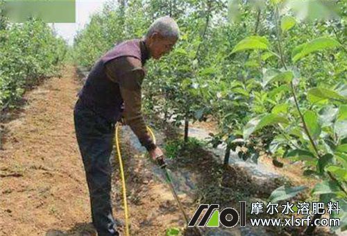 果樹沖施 果樹沖施