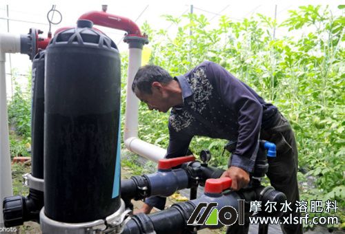 水溶肥滴灌濃度 水溶肥滴灌濃度