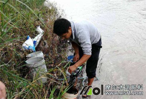 水溶肥溶解沖施 水溶肥溶解沖施