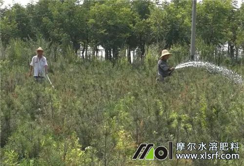 腐殖酸水溶肥用法 腐殖酸水溶肥用法