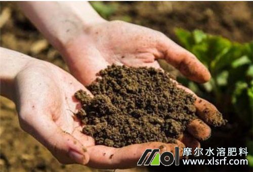含腐殖酸水溶肥成分 含腐殖酸水溶肥成分