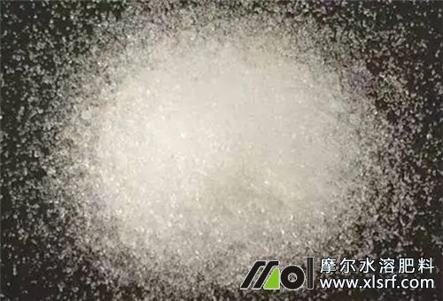 水溶肥所屬肥料 水溶肥所屬肥料