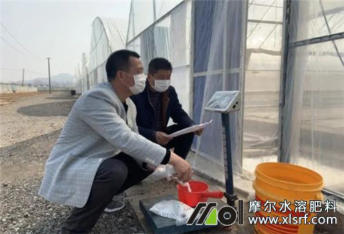 水溶肥兌水量 水溶肥兌水量