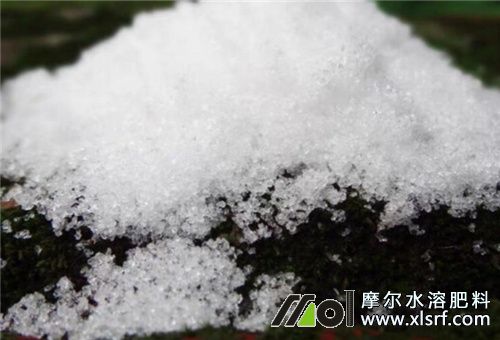 水溶肥微量元素含量 水溶肥微量元素含量