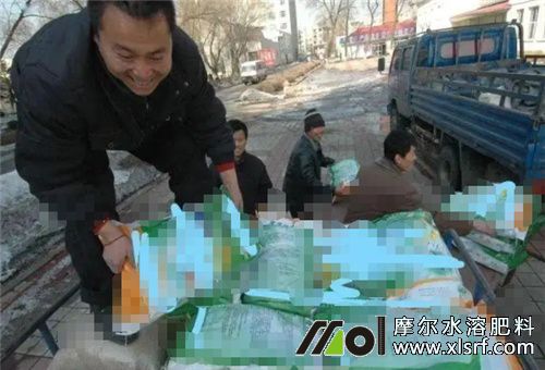 水溶肥批發(fā)哪家好 水溶肥批發(fā)哪家好