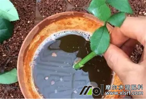 調(diào)節(jié)劑 調(diào)節(jié)劑