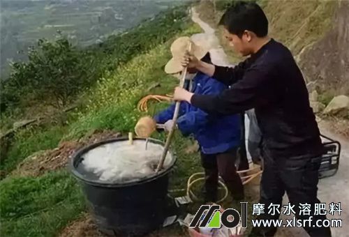 農(nóng)藥肥料混用順序 農(nóng)藥肥料混用順序