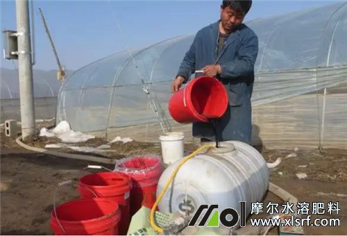 肥料稀釋溶解 肥料稀釋溶解