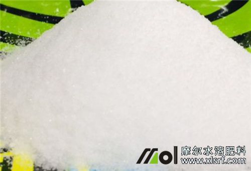 水溶肥幾天見(jiàn)效 水溶肥幾天見(jiàn)效