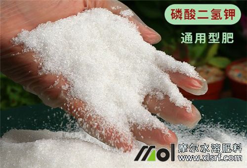 水溶肥受歡迎原因 水溶肥受歡迎原因