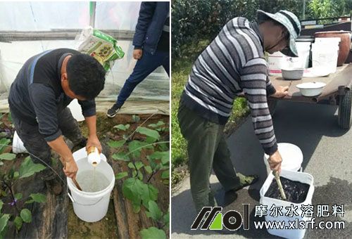 水溶性肥注意 水溶性肥注意