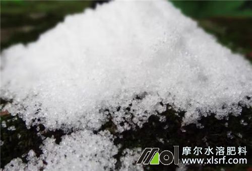 水溶肥一畝地用量 水溶肥一畝地用量