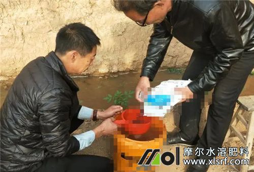 水溶肥使用要求 水溶肥使用要求