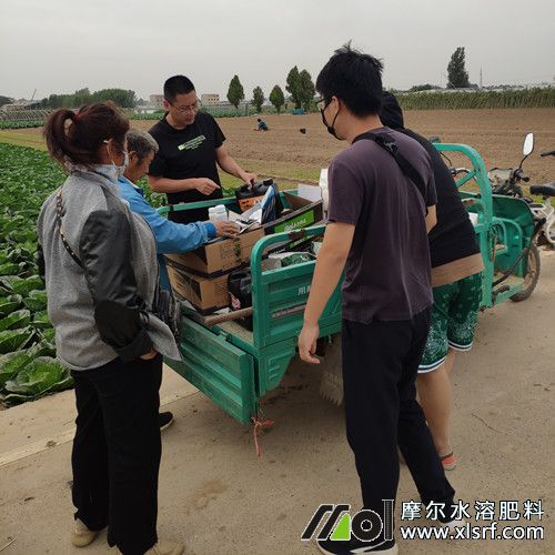 種植戶了解新型肥料中2 種植戶了解新型肥料中2