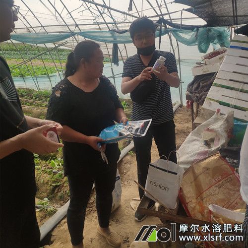 種植戶了解新型肥料中3 種植戶了解新型肥料中3