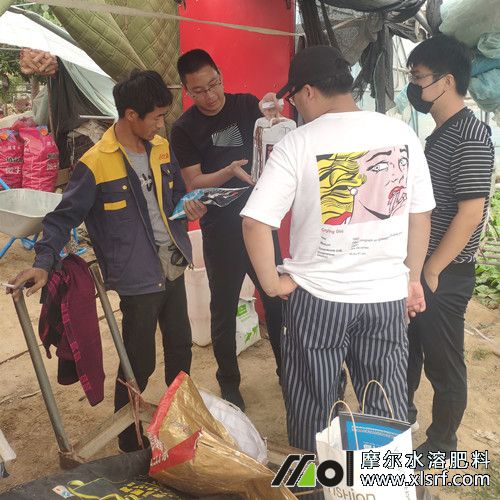 種植戶了解新型肥料中4 種植戶了解新型肥料中4