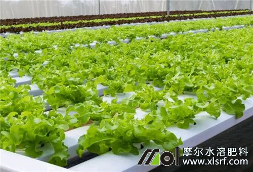 配方肥的發(fā)展應(yīng)用 配方肥的發(fā)展應(yīng)用