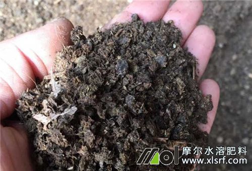 水溶肥配合底肥使用 水溶肥配合底肥使用