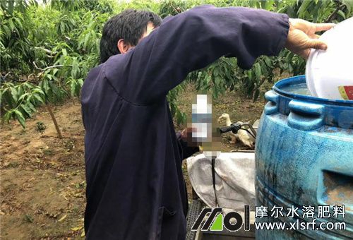水溶肥稀釋 水溶肥稀釋