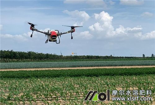 水溶肥噴霧 水溶肥噴霧