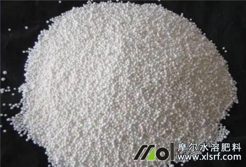 硝態(tài)氮對溫度 硝態(tài)氮對溫度