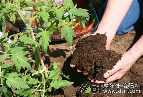 追肥用有機(jī)肥 追肥用有機(jī)肥