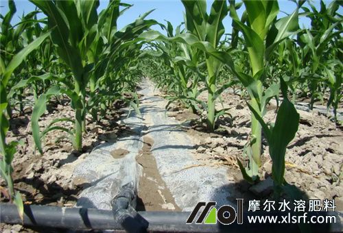 滴灌水溶肥 滴灌水溶肥