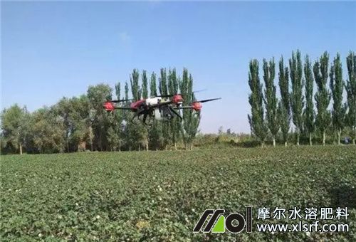 水溶肥噴施 水溶肥噴施