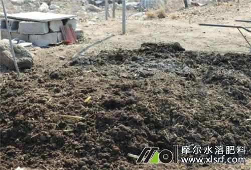 水溶肥使用前提 水溶肥使用前提