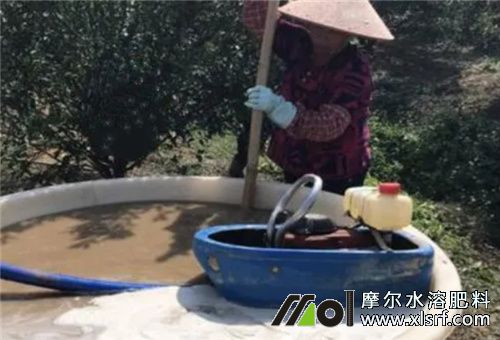 水溶肥溶解放幾天 水溶肥溶解放幾天