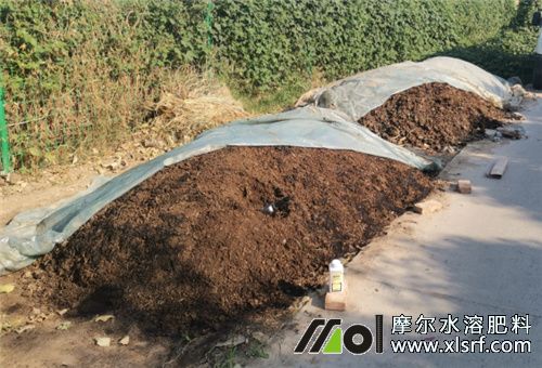 哈密瓜種植施底肥 哈密瓜種植施底肥