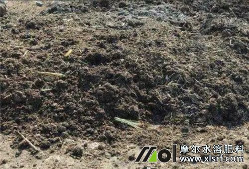 山藥施肥前提 山藥施肥前提